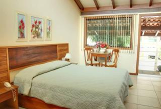 Hotel Dominguez Plaza - Nova Friburgo - 5