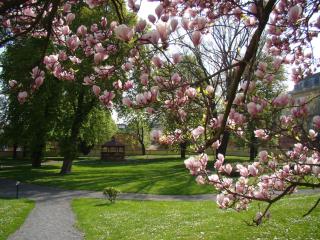 Vila Lanna - Prague - 2