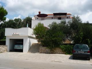Cosy apartment - Novalja - 1
