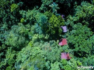 Yatama Rainforest Ecolodge - Sarapiquí - 6