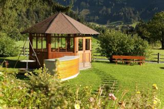 Landhaus Rohrmoser - Werfenweng - 2