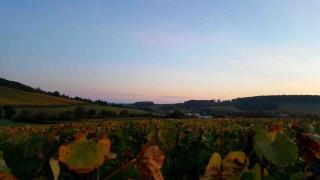 La Cadole de Chardonnay - 5