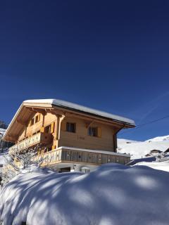 Chalet Butterfly - Adelboden - 1