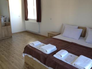 Hotel Continental - Gori - 6