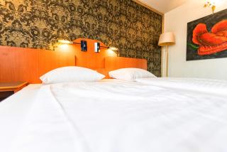 Hotel Krone - Friesenheim - 5