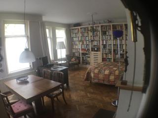 Pied à Terre Oostersingel UMCG - Groningen - 9