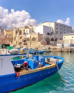 Dimora Pietrabianca - Monopoli - 3