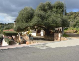 Appartamento Li Puntiti 1 - Budoni - 3