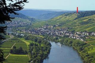 Ferienwohnung Moselblick - Reil - 9