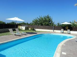 Citrus Grove Villa - Argaka - 5