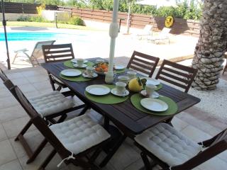 Citrus Grove Villa - Argaka - 6
