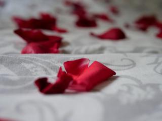 Erofili Apartment - 5