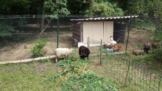 La Petite Marguerite - Chitenay - 1