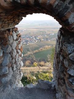 Rezidence Pavlov - 2