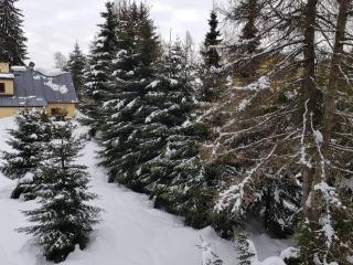 Boutique Apartment Petra - Harrachov - 7