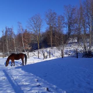 Le Gîte du Cheval Blanc - 0