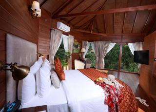 The IBNII - Eco Luxury Resort - Madikeri - 3
