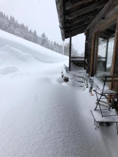 Auhäuslalm - Maria Alm am Steinernen Meer - 6