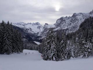 Dachstein view ski apartment - Gosau - 9