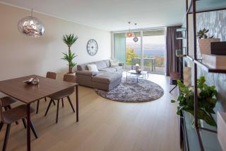 Opatija Deluxe Apartment with swimming pool - 8