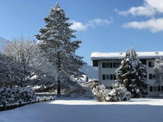 Central Garden-Mountain Apartment - Garmisch-Partenkirchen - 9