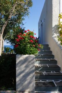 Into The Blue Villa - Arkadiko Chorio - 3
