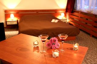Hotel of Bulgarian Academy of Sciences - Sofia - 3