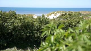 Mamoune - Le Touquet-Paris-Plage - 9