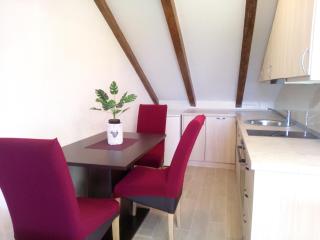 Holiday apartments Maslina Paho - Babino Polje - 7