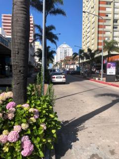 Punta del Este Lux Tower - 7