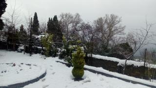 Apartments Spiros Pelion - 5