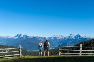 Boutique Pension Erlacher - Adults Only - Villandro - 3