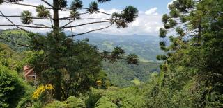 Sitio Nossa Senhora De Loreto - Campos do Jordão - 6