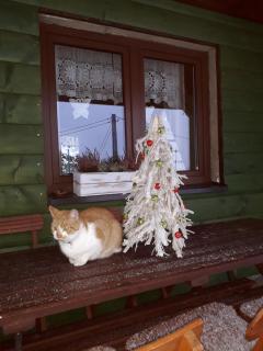 Domki i Apartamenty Rogate Anioły - 2