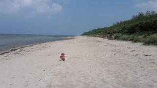 Am Pool und Strand 7 neu - 9