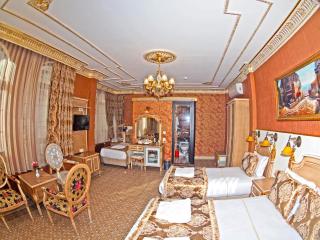 Glamour Classic Hotel Istanbul Sirkeci - Istanbul - 6
