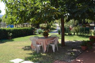 Il Granaio Grande - Paciano - 8