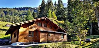 Alpenlodge - Willigen - 4