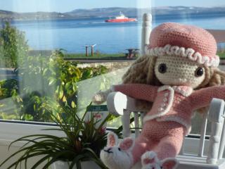 Douglas Park Guest House - 3