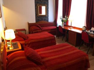 Hotel Ariston Prague - Prague - 7