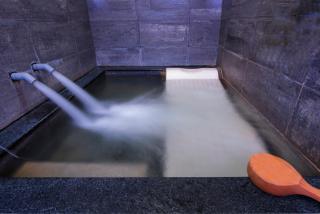 Youngs Hotspring Hotel - 1