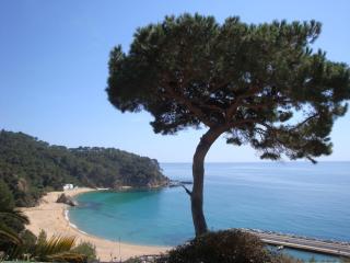 Bequia - Lloret de Mar - 8