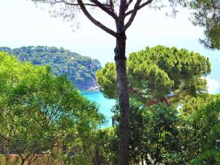 Cirici - Lloret de Mar - 5