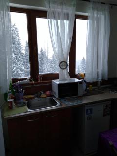 Пампорово апартамент,студио Милка 17,в х Росица, за ски и туризъм,целогодишно - 8