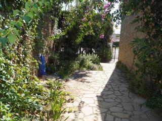 Lily - Lloret de Mar - 3