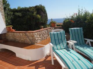 Lily - Lloret de Mar - 0