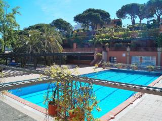Palmera - Lloret de Mar - 9