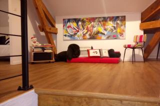 Chambres d'hôtes Toulaho - 5