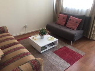 Departamento 8 Norte, Torre del Mar - Viña del Mar - 7