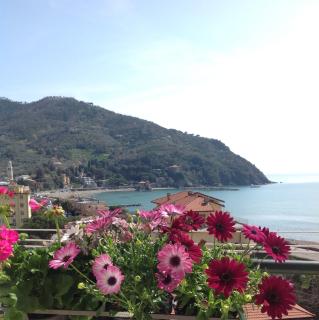 Calipso - Levanto - 8